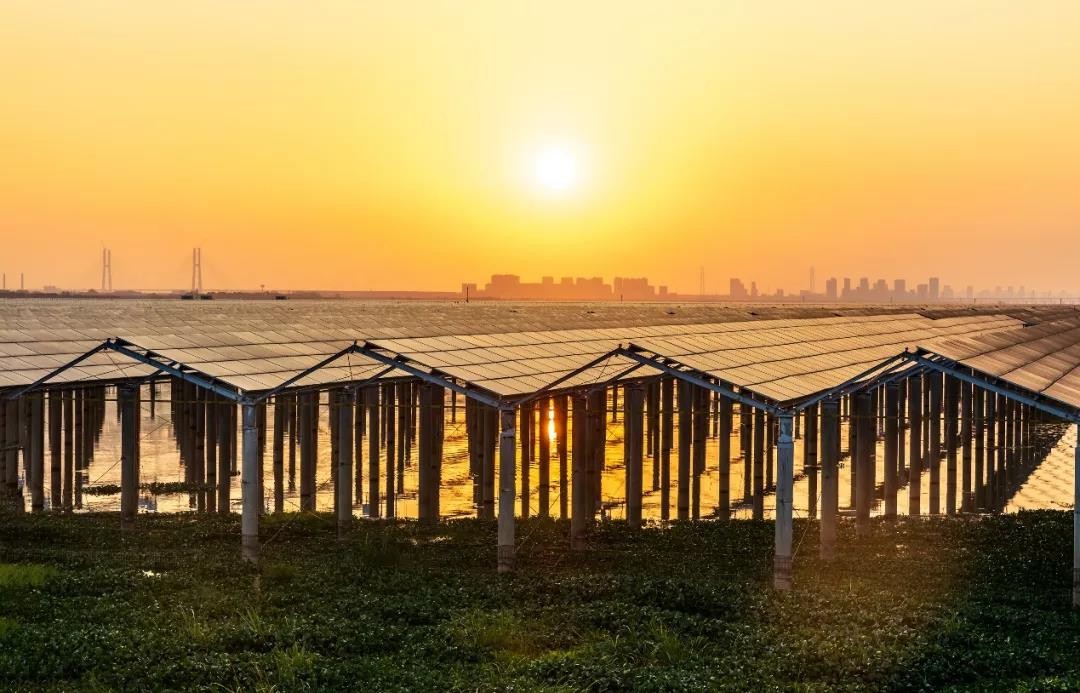 Beyond Success - www.js3333.com Achieved a Preferred Scale of 1120 MW in Jiangxi